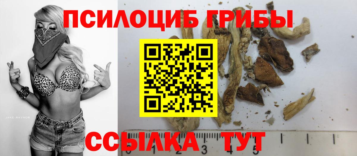 Мирный  Галлюциногенные грибы Psilocybe  Галлюциногенные грибы Cubensis  Вход с VPN 